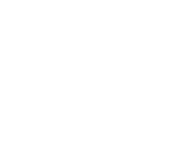 Baller Grip Socks